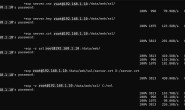 Windows 11系统使用SCP上传文件到Linux服务器