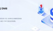 ABP集成达梦数据库