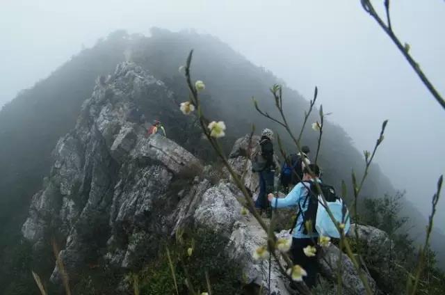 深圳最全、最详细、深圳16座山全在这儿-第5张图片