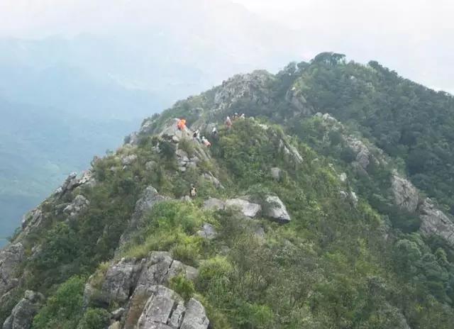 深圳最全、最详细、深圳16座山全在这儿-第6张图片