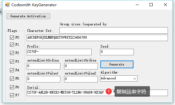 CodeSmith 7系列安装-第11张图片